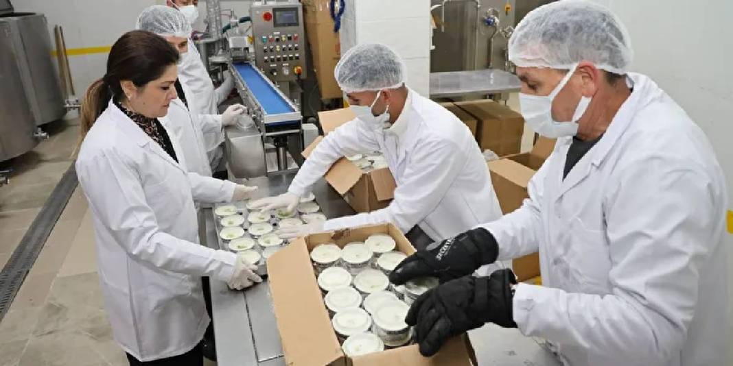 Pazarlamacı olarak başladı 17 yıl sonra tesisini kurdu: Yılda 700 ton üretim yapıyor 5